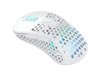 Cherry Xtrfy M4 Wireless RGB Gaming Mouse, RF/USB-C - Vit#2