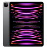 Apple iPad Pro 12,9-tum (2022) Wi-Fi 512 GB - Rymdgrå