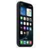 Apple iPhone 16 PRO Silicone Case / MagSafe - Black#3